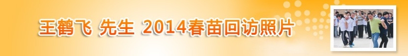 王鹤飞先生2014春苗回访照片