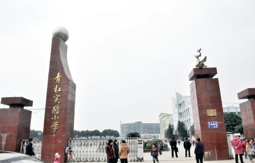 photo1qinggang1
