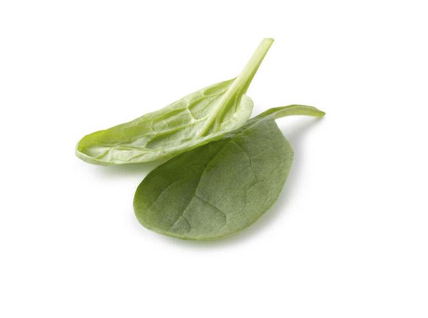 植物大咖秀：菠菜来了！