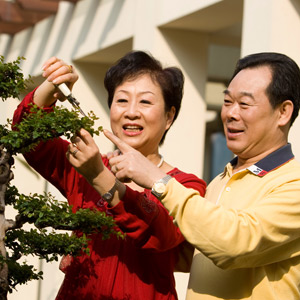 卜范芝  卢宪新